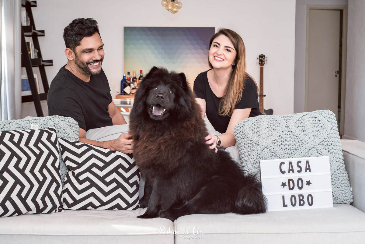 Ensaio pet indoor Lobo