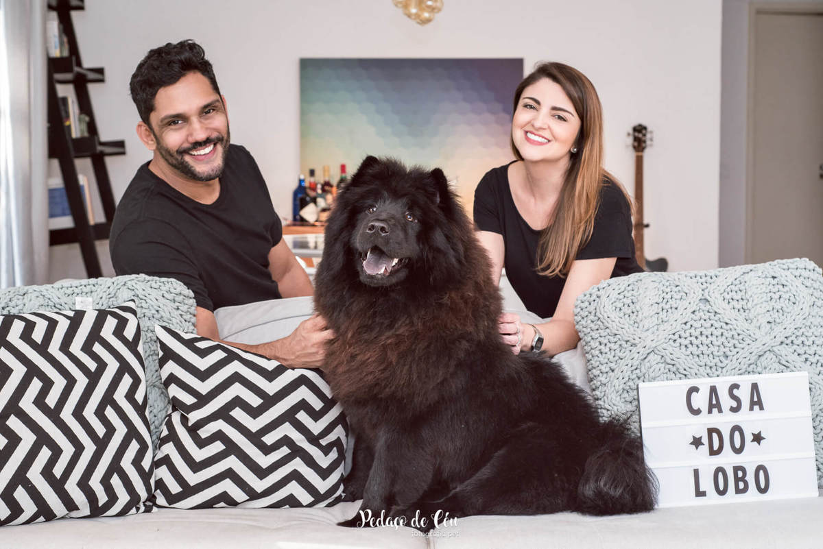 Ensaio pet indoor Lobo