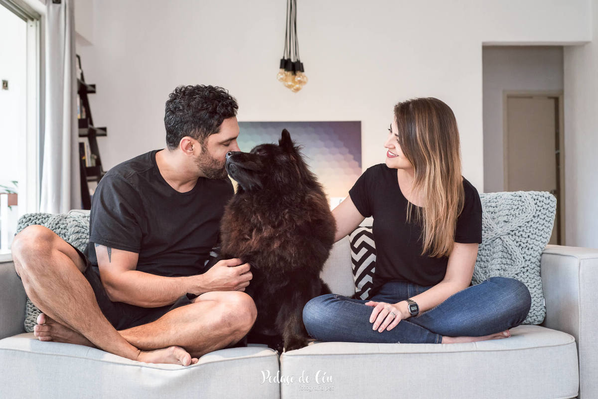Ensaio pet indoor Lobo