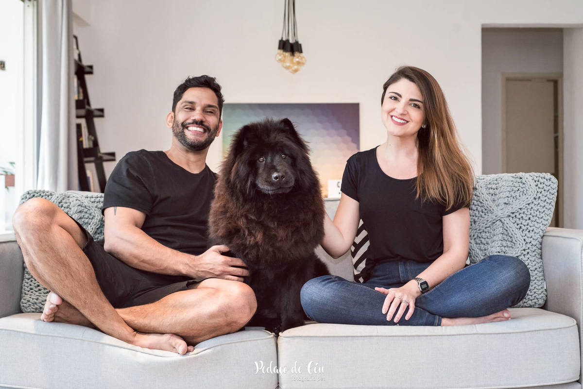 Ensaio pet indoor Lobo