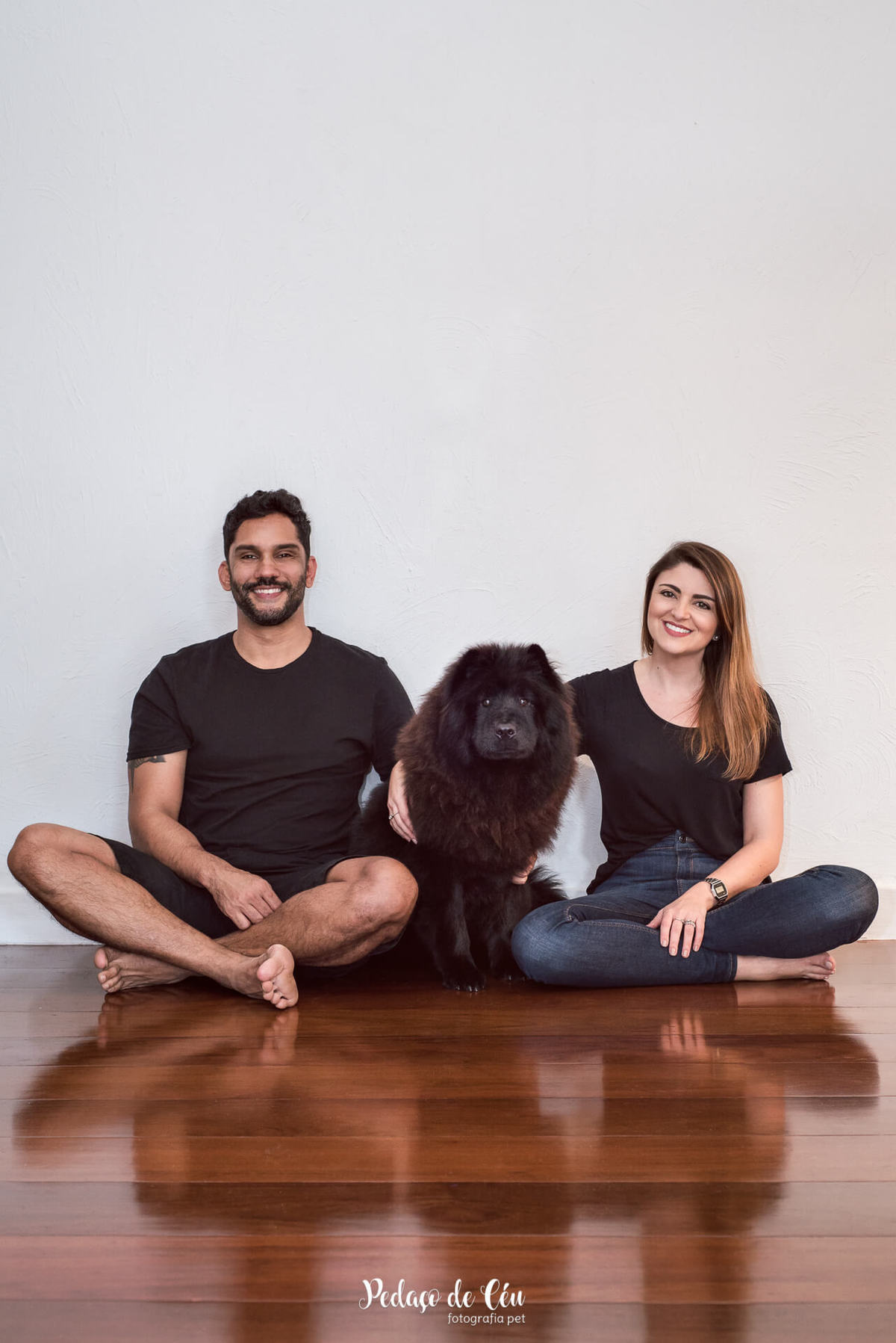Ensaio pet indoor Lobo