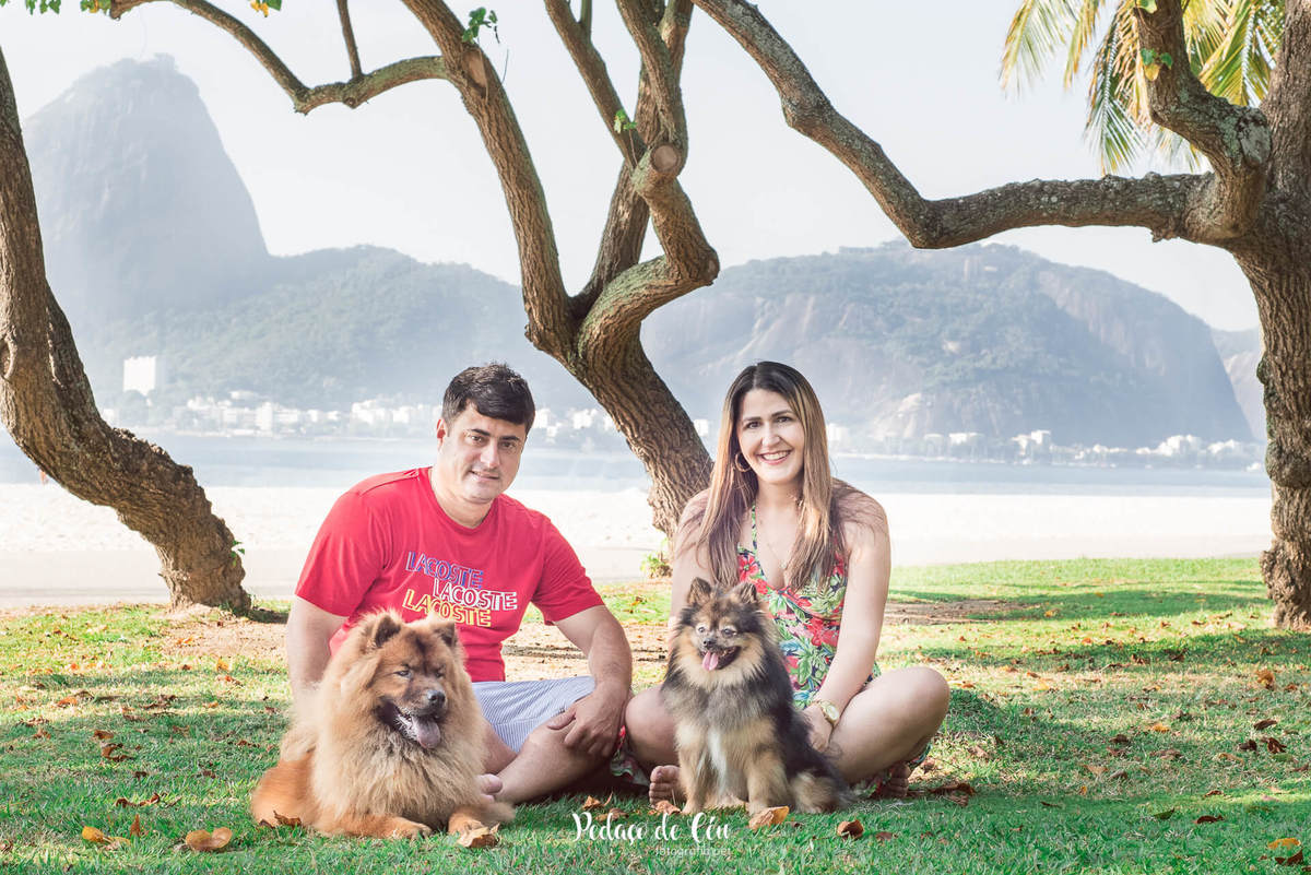 Ensaio pet na Praia do Flamengo