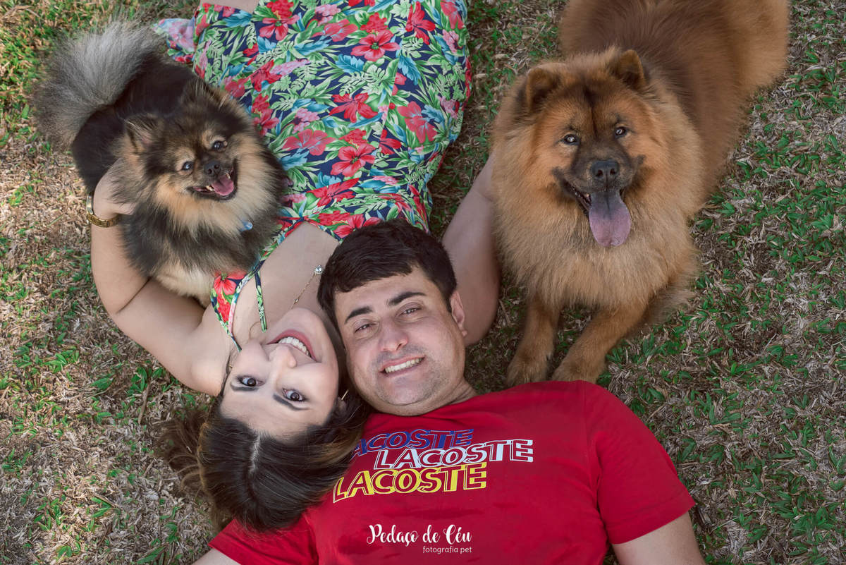 Ensaio pet na Praia do Flamengo