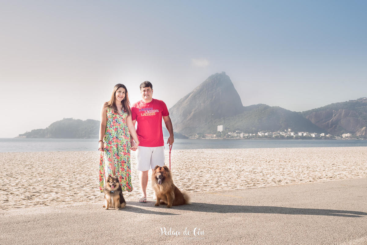 Ensaio pet na Praia do Flamengo