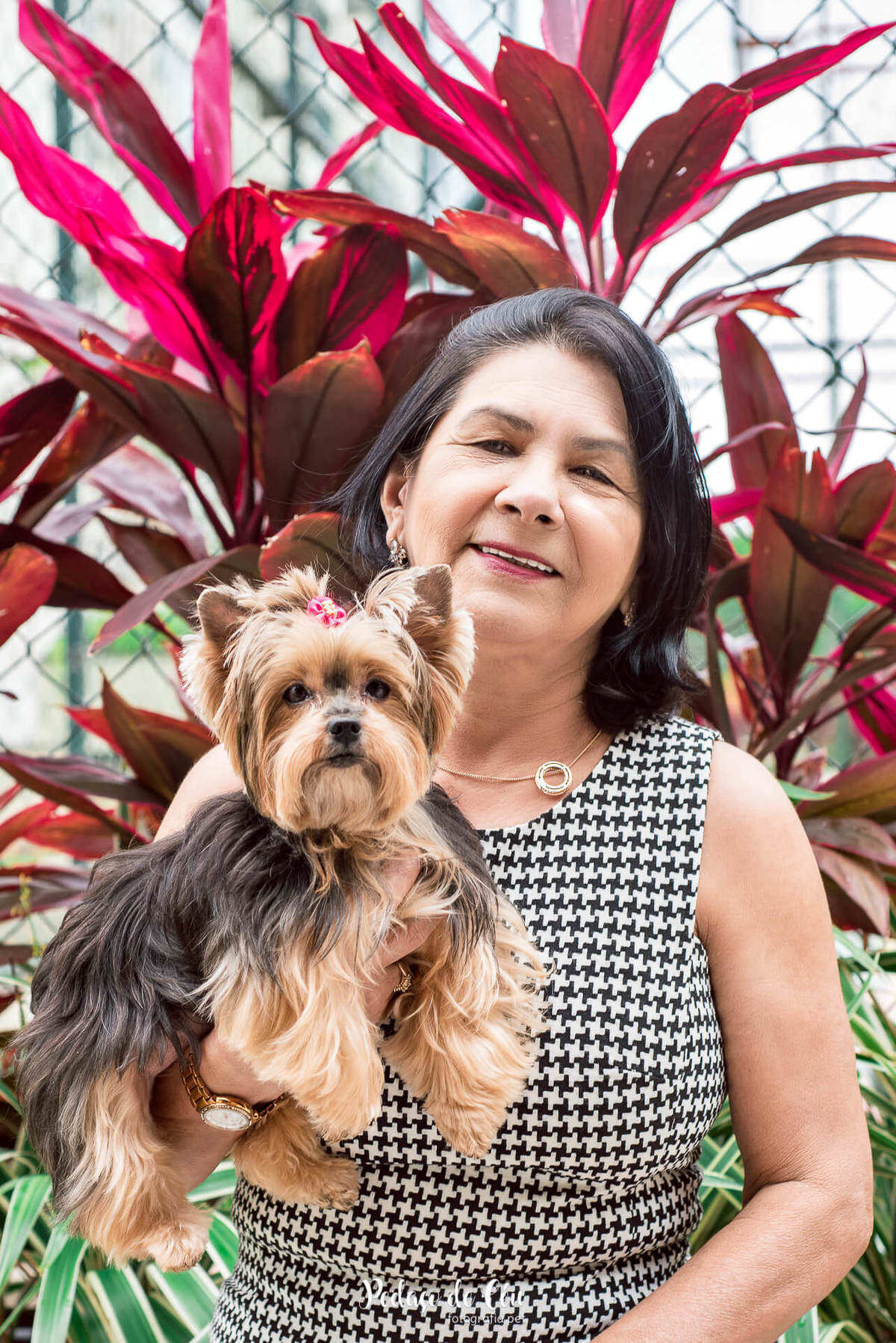 Ensaio Pet no condomínio Belinha