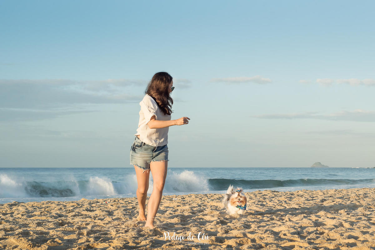 Ensaio pet família na praia