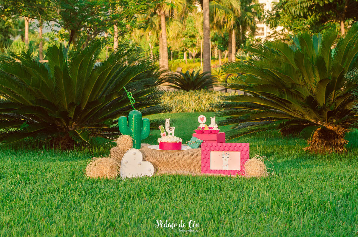 smash the cake pet decoração