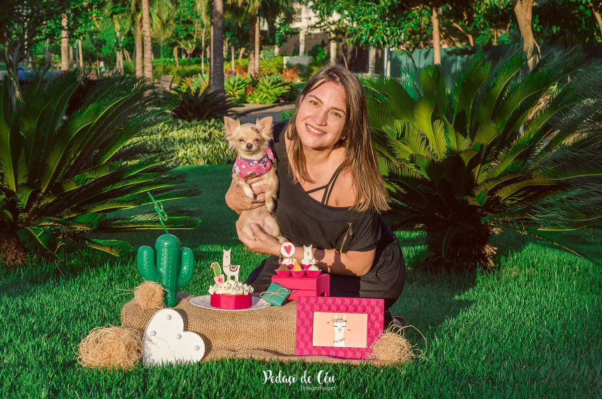 smash the cake pet família