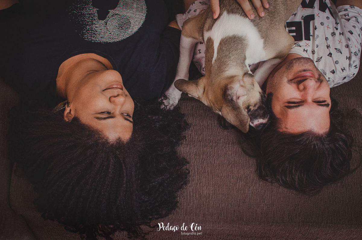 ensaio pet família em casa lambida