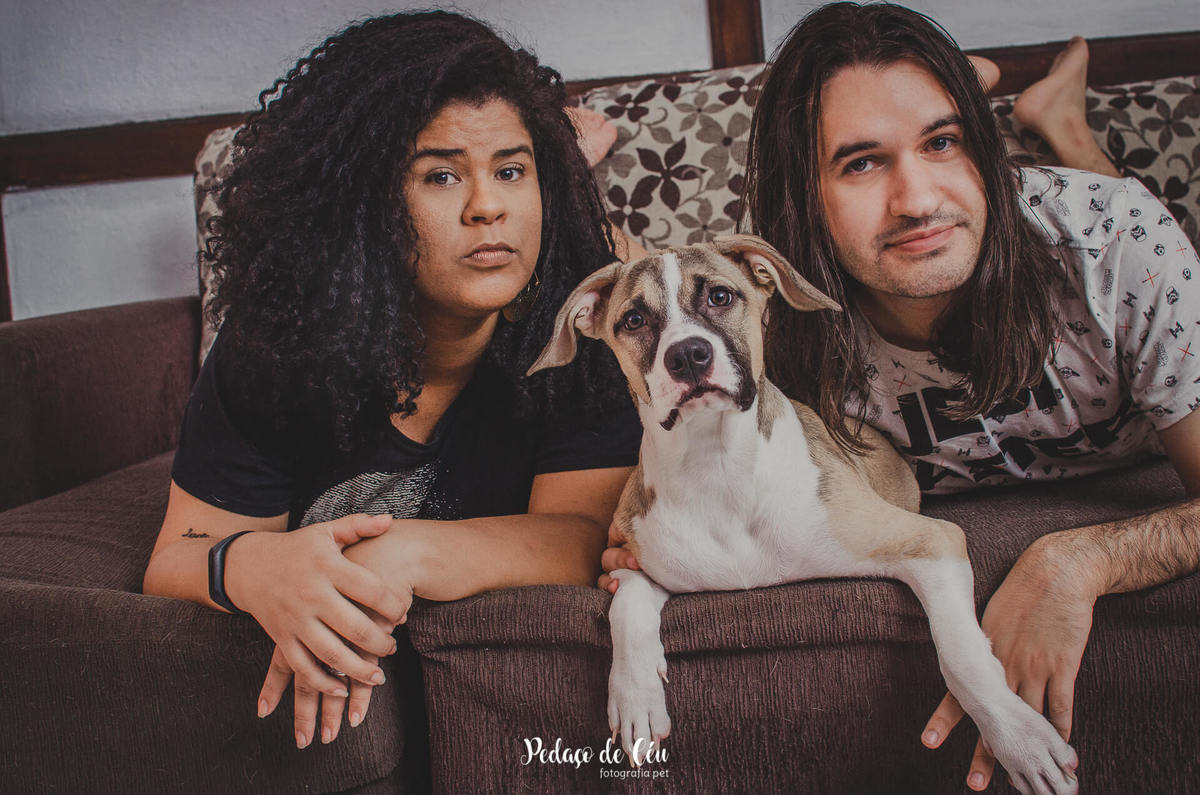 ensaio pet família em casa