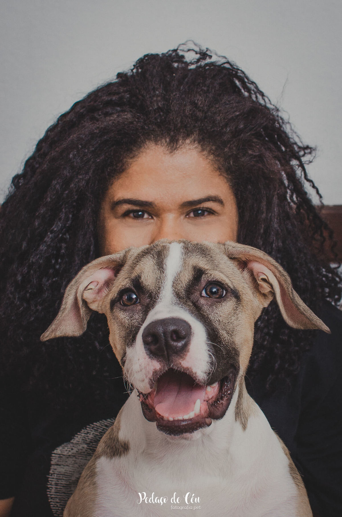 retrato pet família em casa