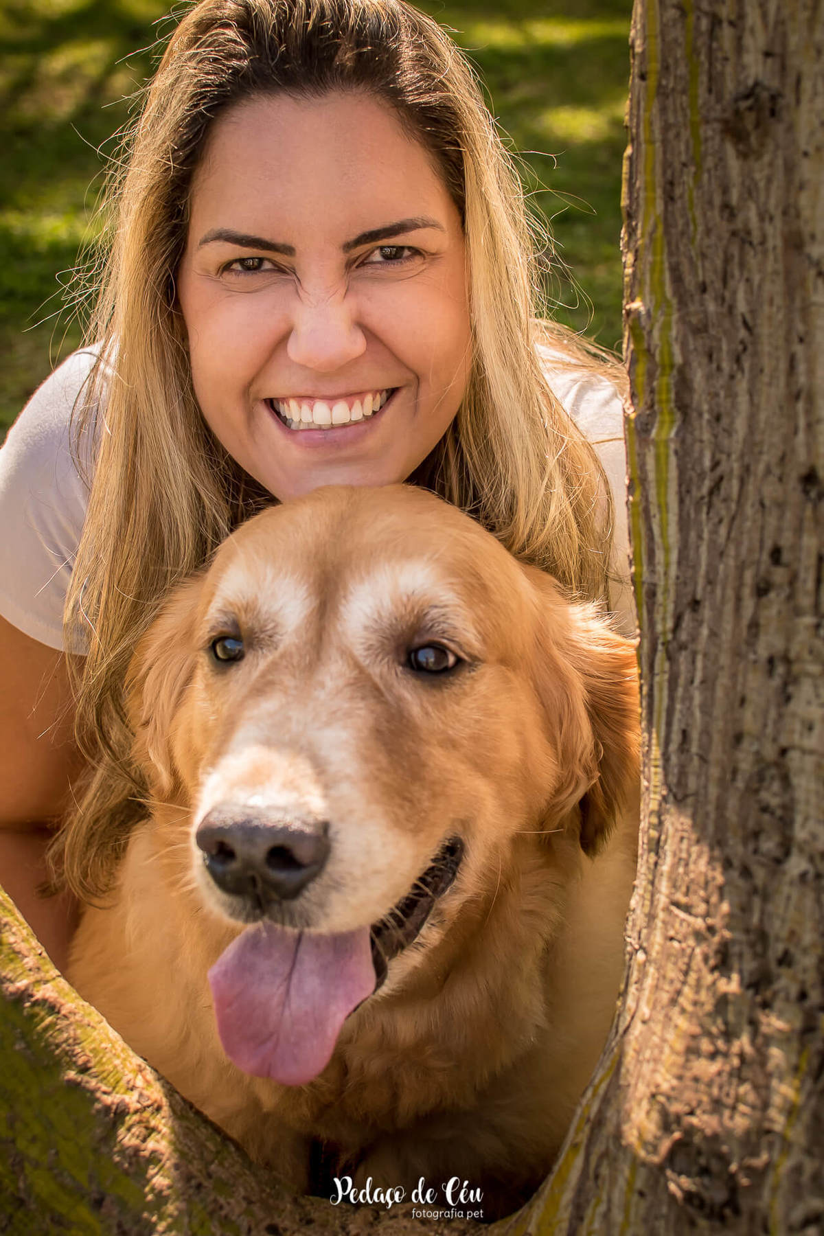 ensaio fotográfico família golden