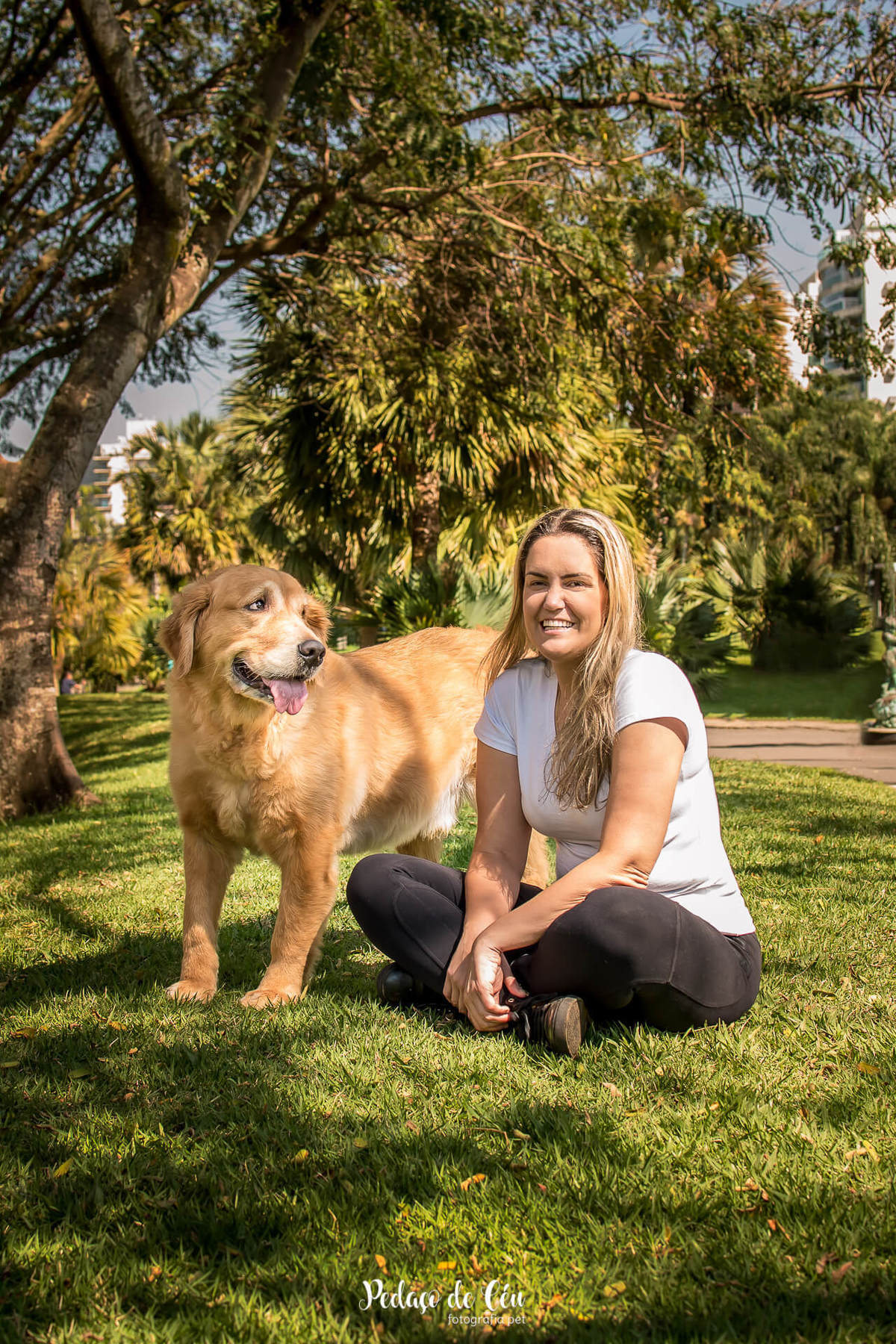 ensaio fotográfico pet família golden