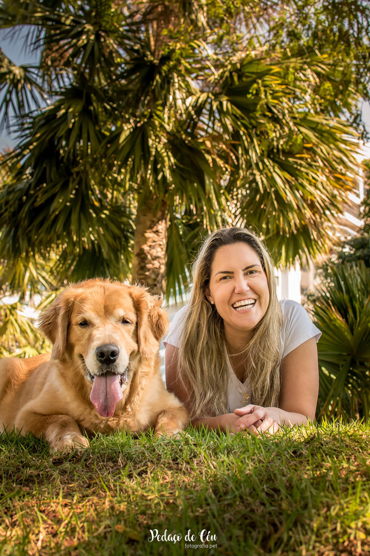 ensaio fotográfico pet golden