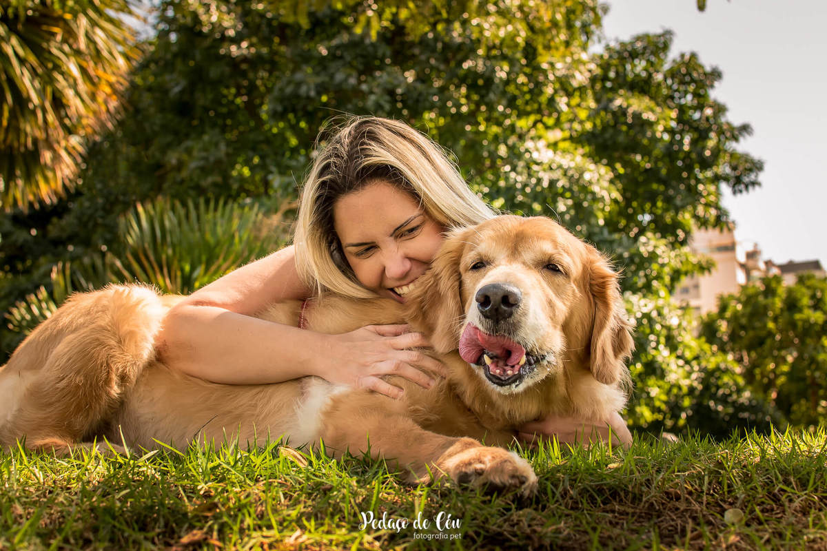 ensaio fotográfico pet família golden
