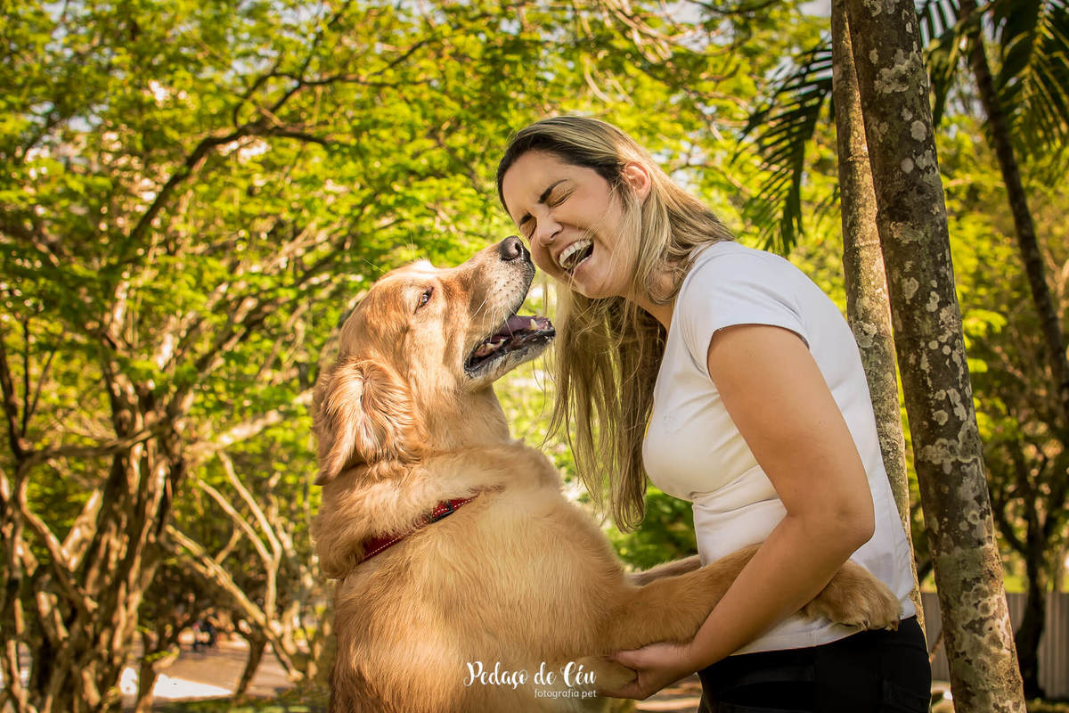 ensaio família pet golden