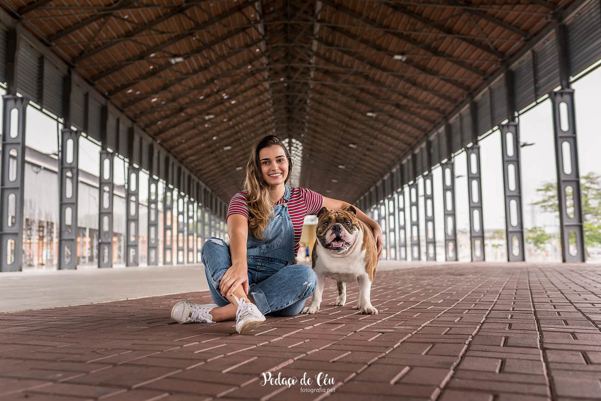 ensaio fotográfico pet família bulldog