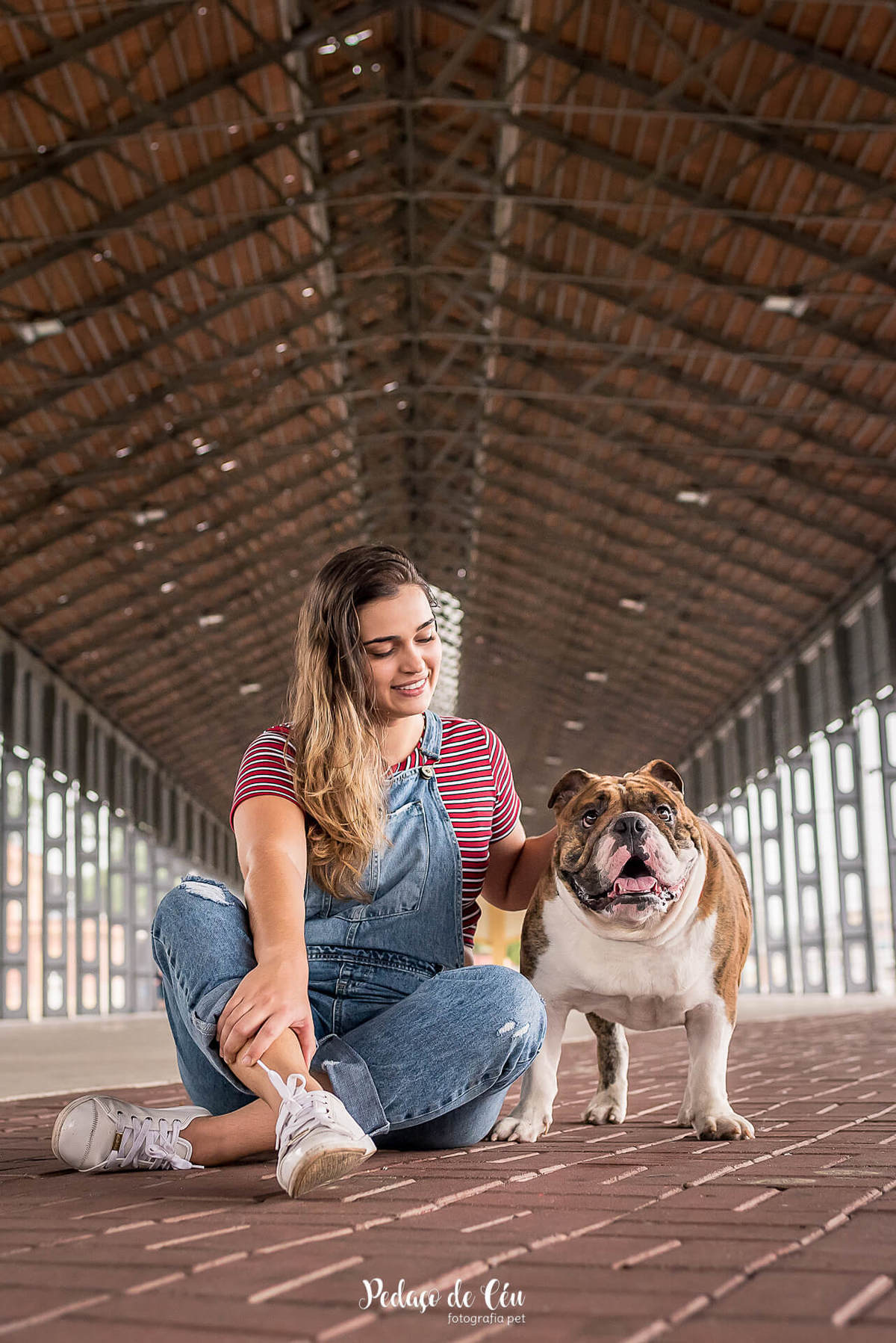 ensaio fotográfico pet família bulldog