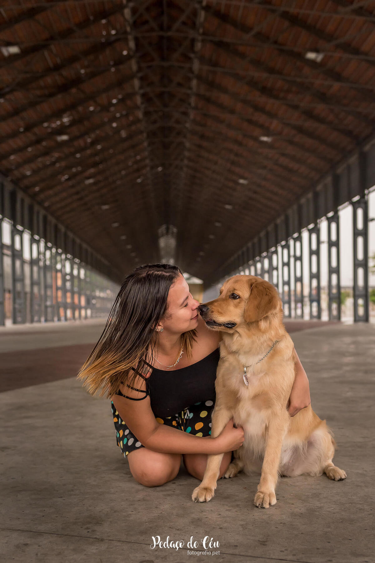 ensaio fotográfico pet golden