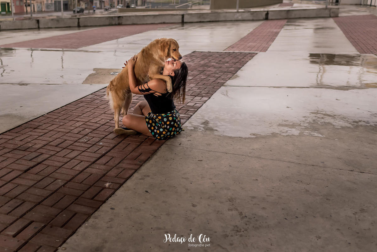 ensaio fotográfico pet golden