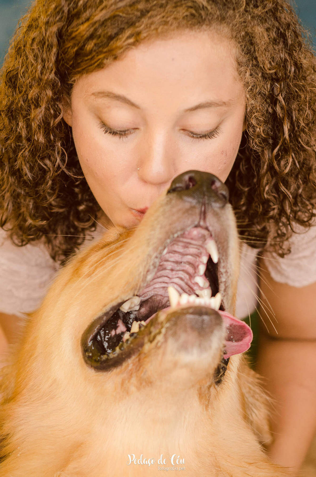 festa pet aniversário