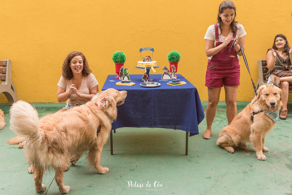 festa pet aniversário