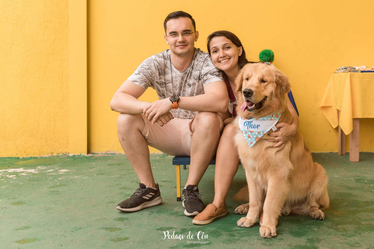 festa pet aniversário