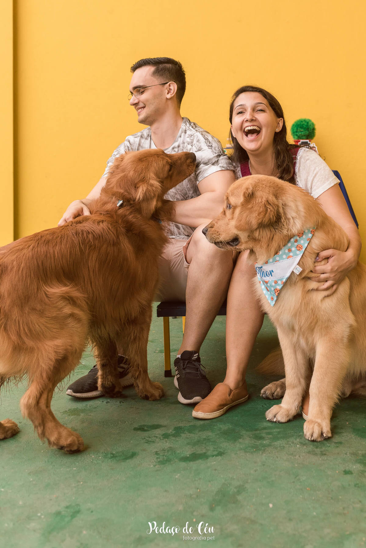 festa pet aniversário