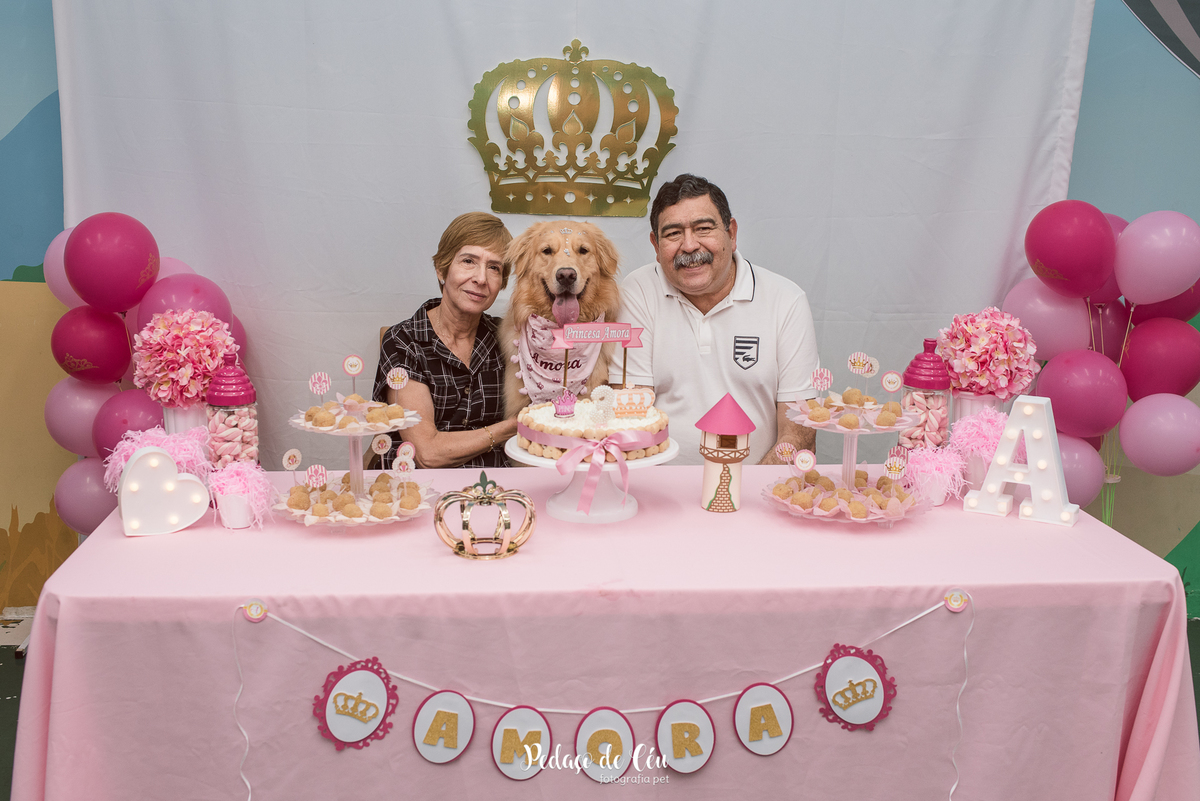 festa pet