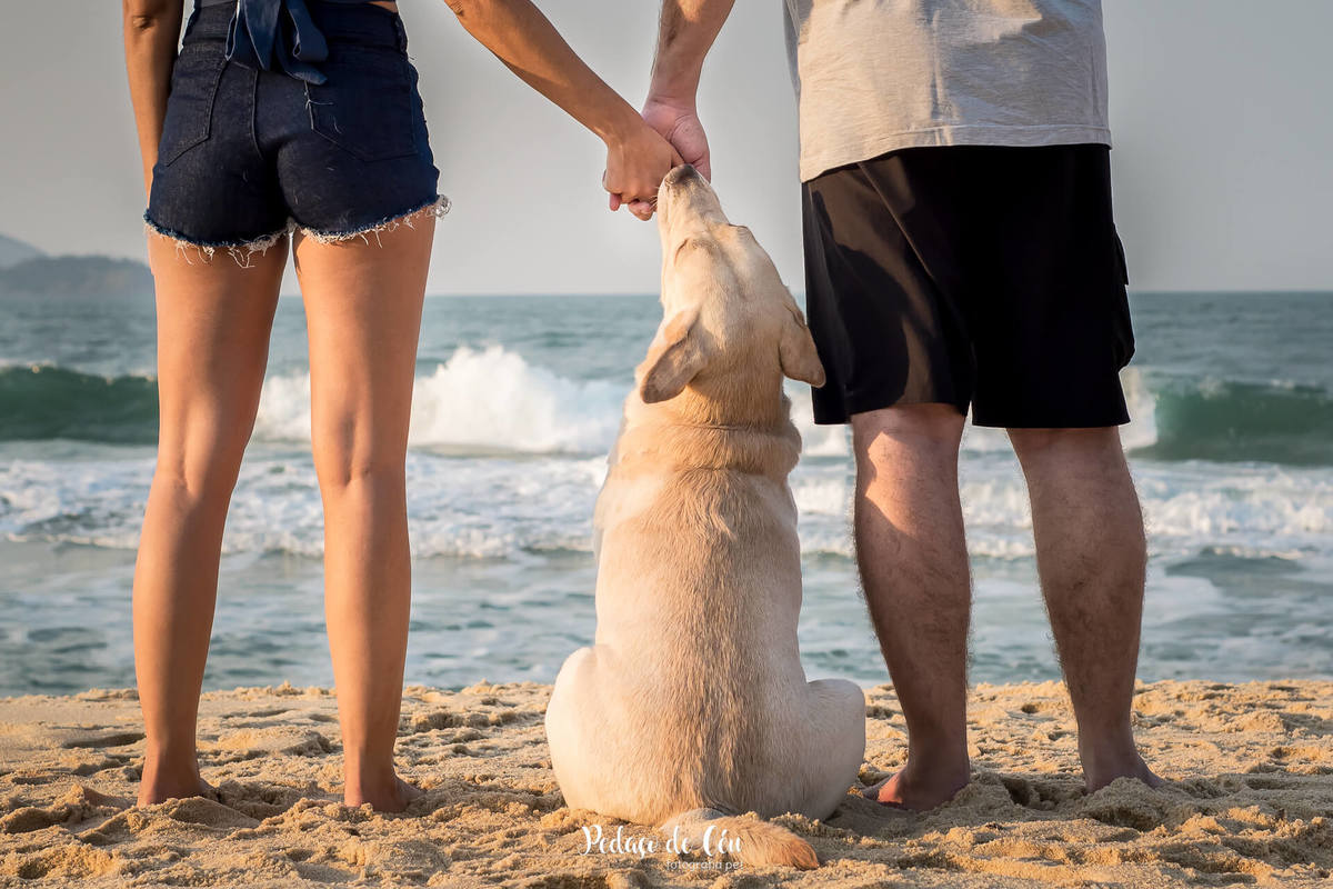 ensaio pet na praia