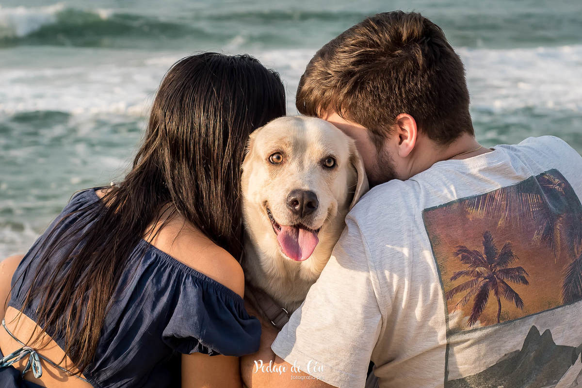 ensaio pet na praia