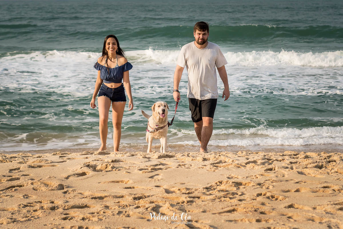 ensaio pet na praia