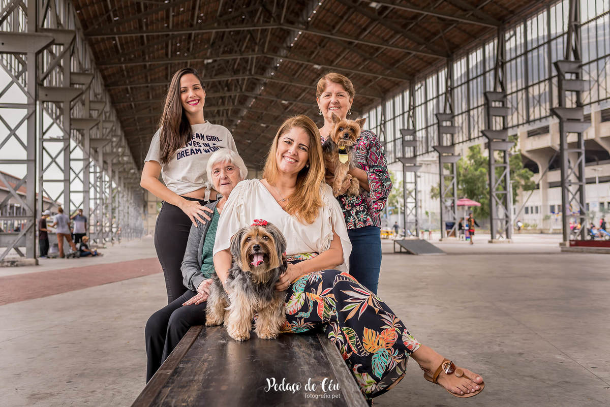 ensaio fotográfico pet família