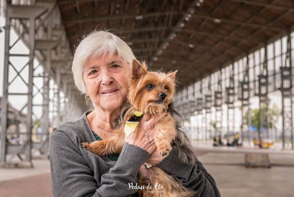 ensaio fotográfico pet família