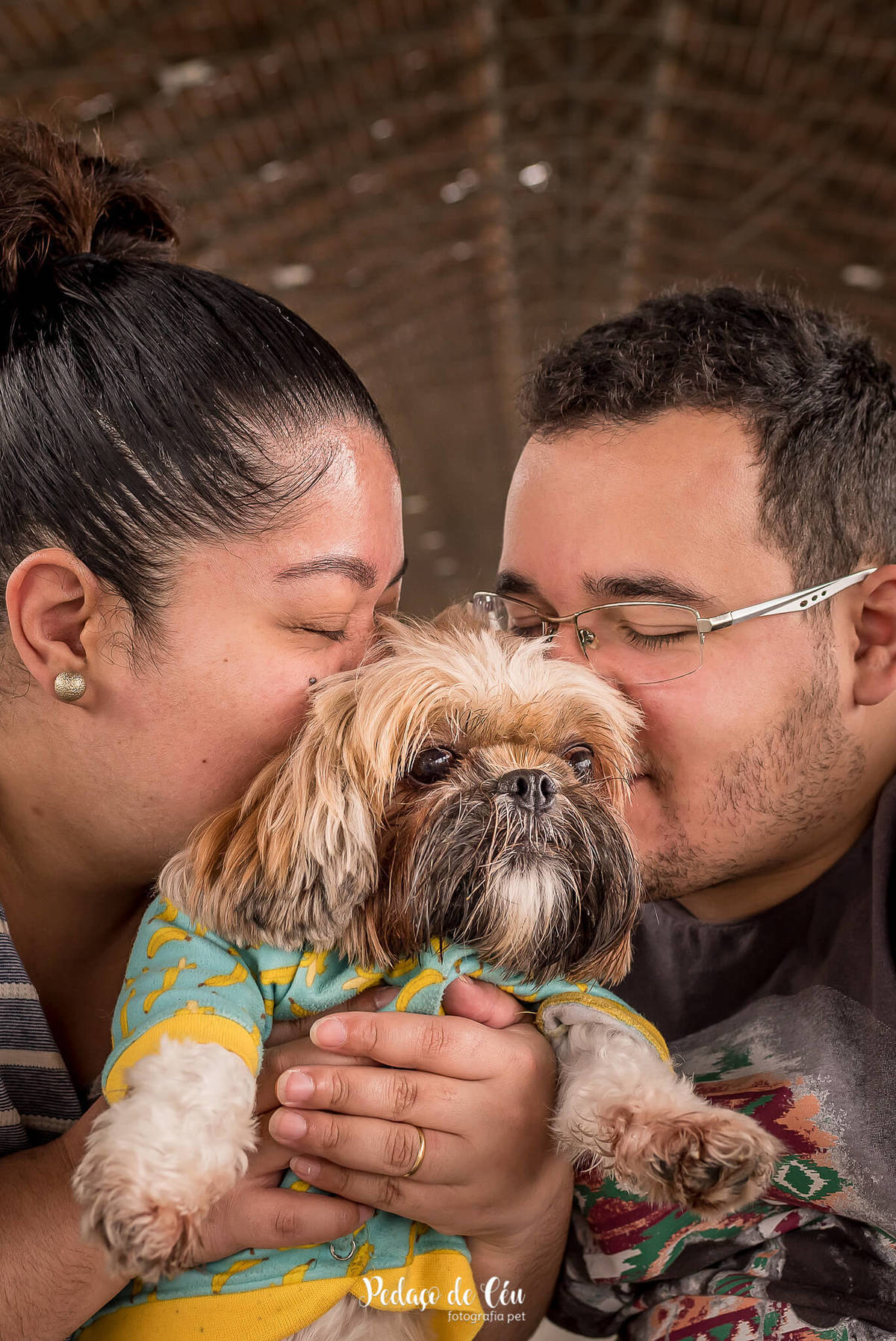 ensaio fotográfico pet família