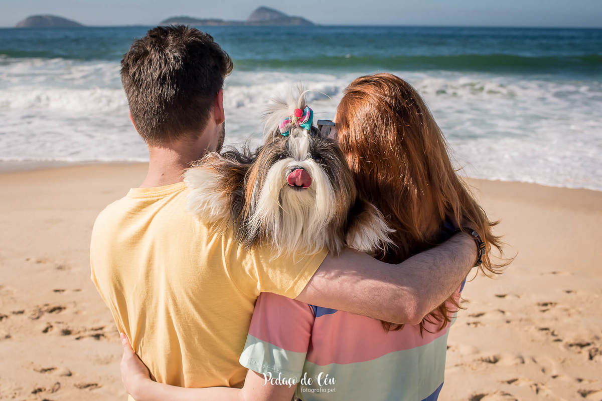 ensaio fotográfico pet família