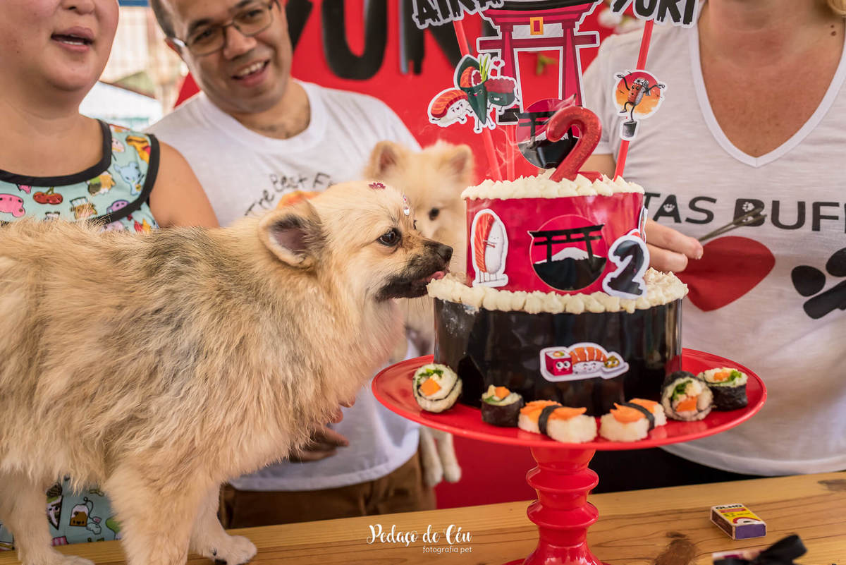 festa de aniversário pet
