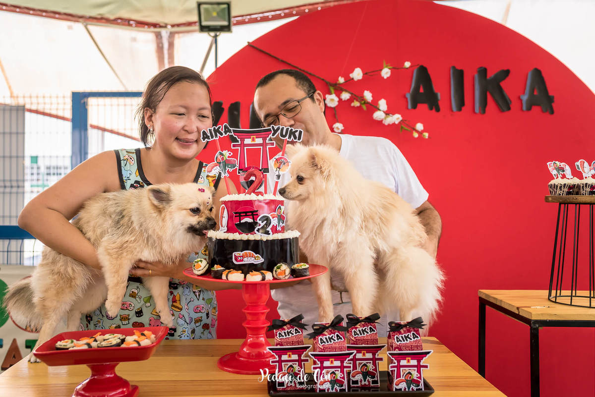 festa de aniversário pet