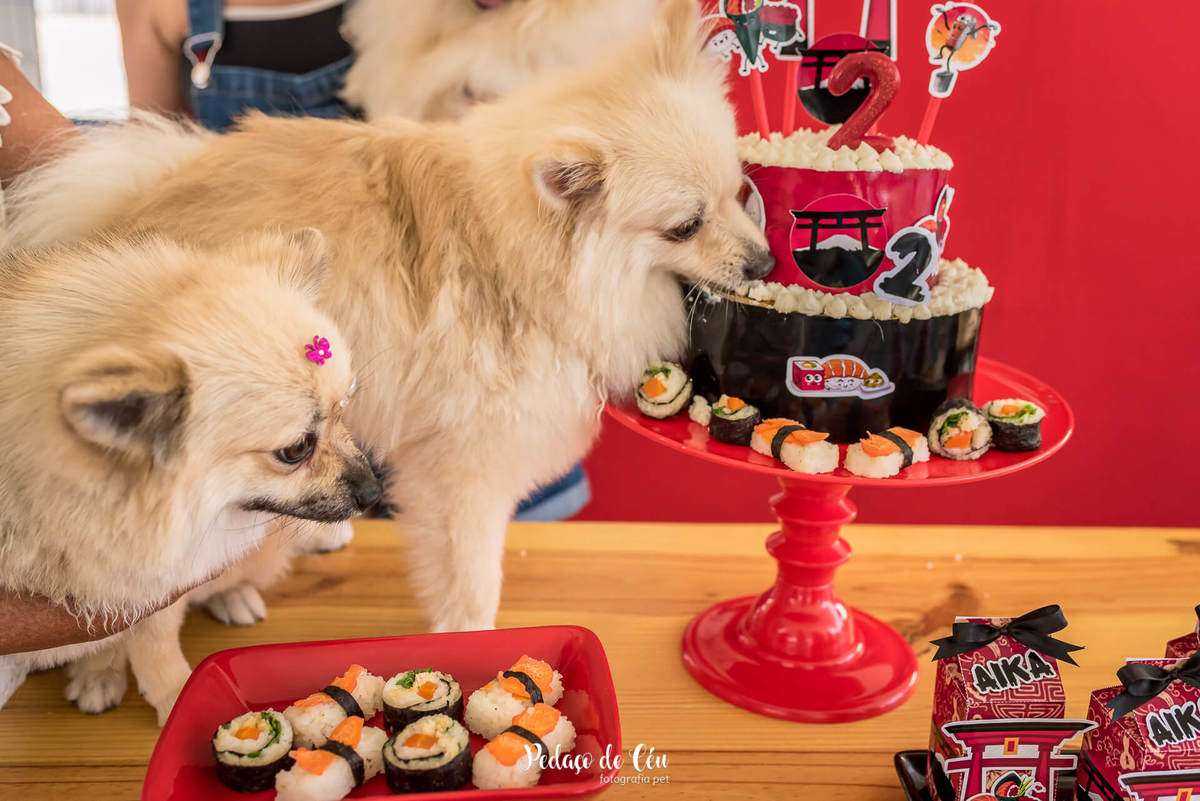 festa de aniversário pet