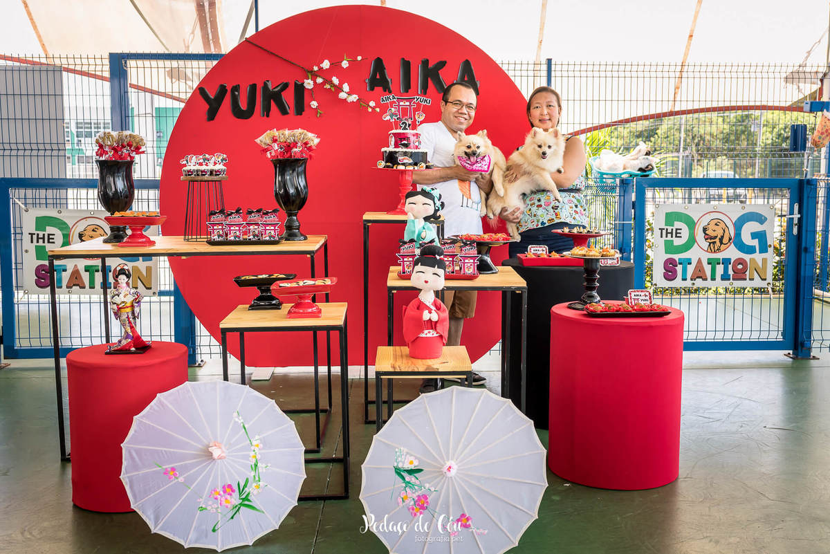 decoração festa pet