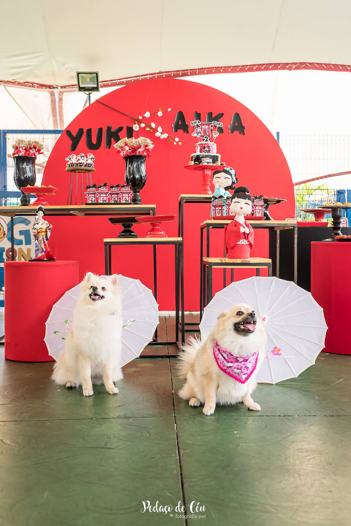 decoração festa pet