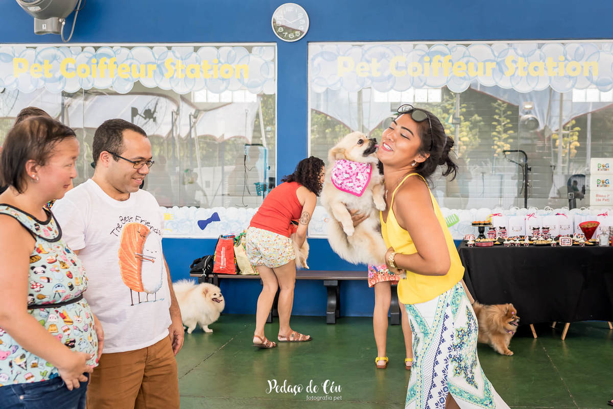 festa de aniversário pet