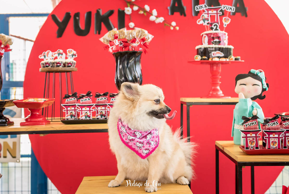 festa de aniversário pet