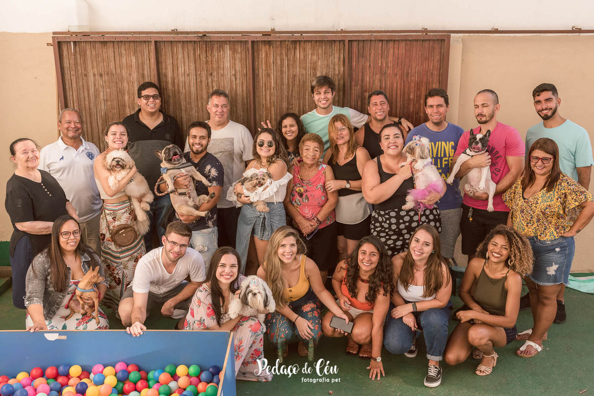 Shihtzu fotografia pet aniversário