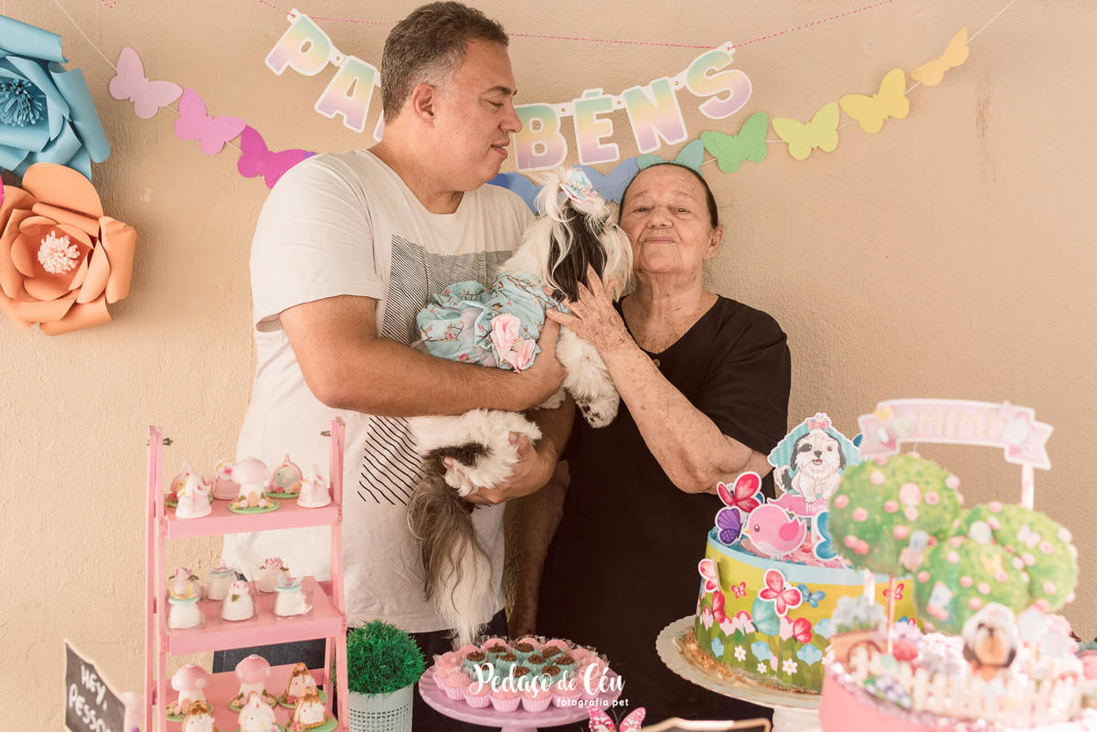 Shihtzu fotografia pet familia