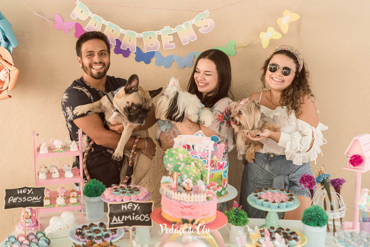 buffet pet Petcetera