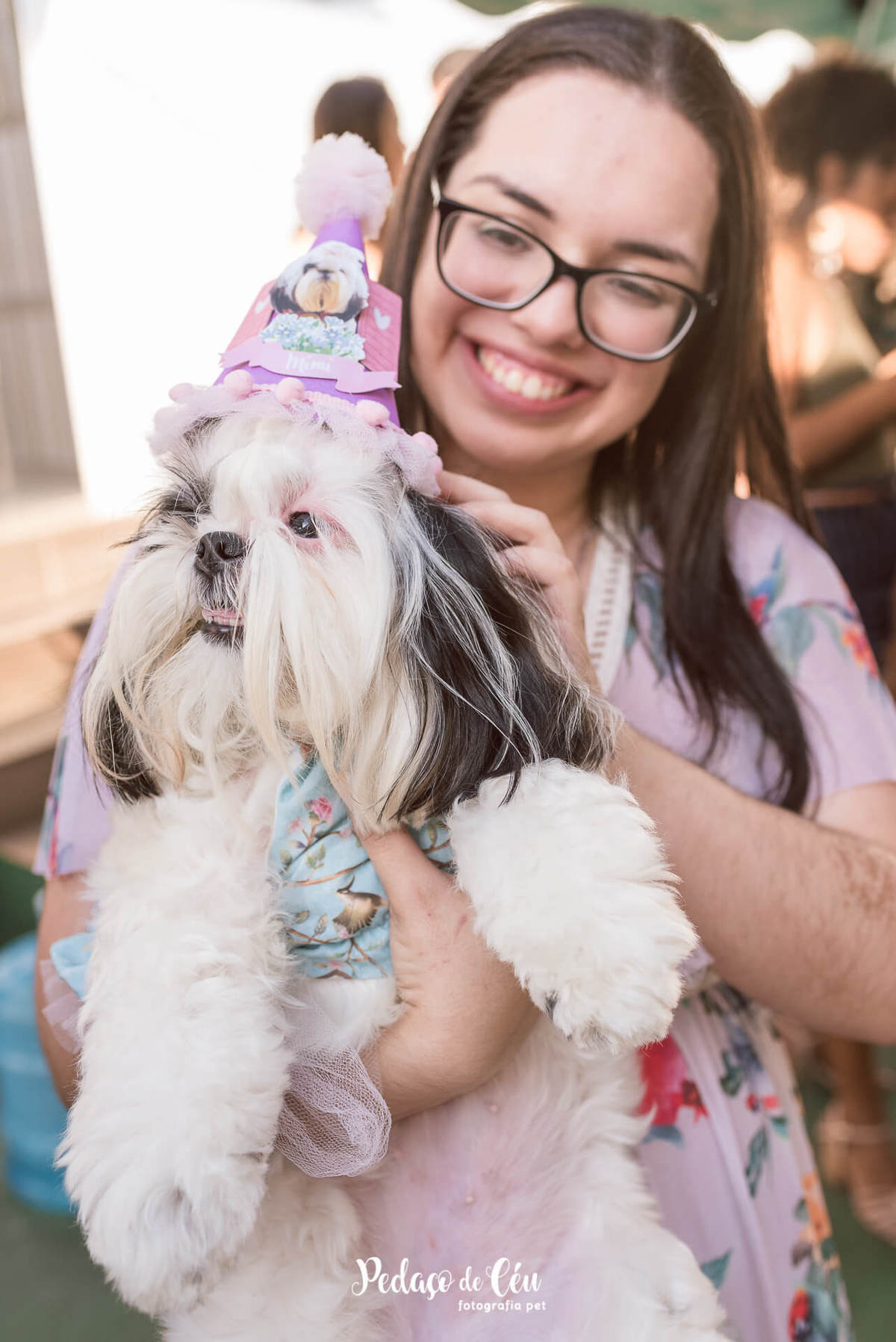 shihtzu aniversário