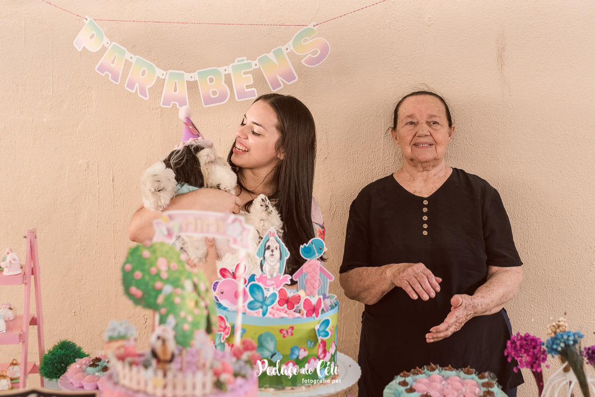 Shihtzu fotografia pet aniversário