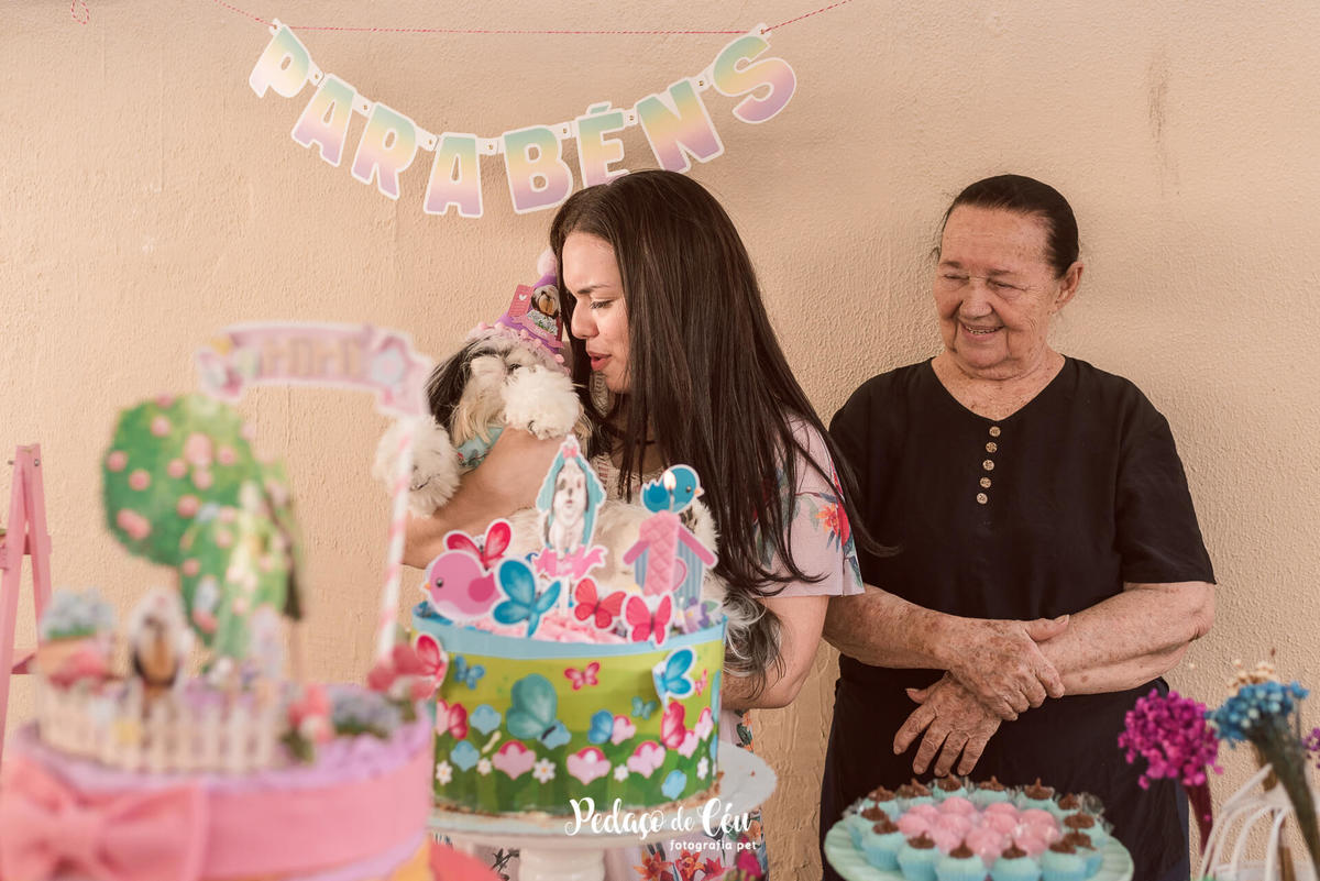 Shihtzu fotografia pet aniversário