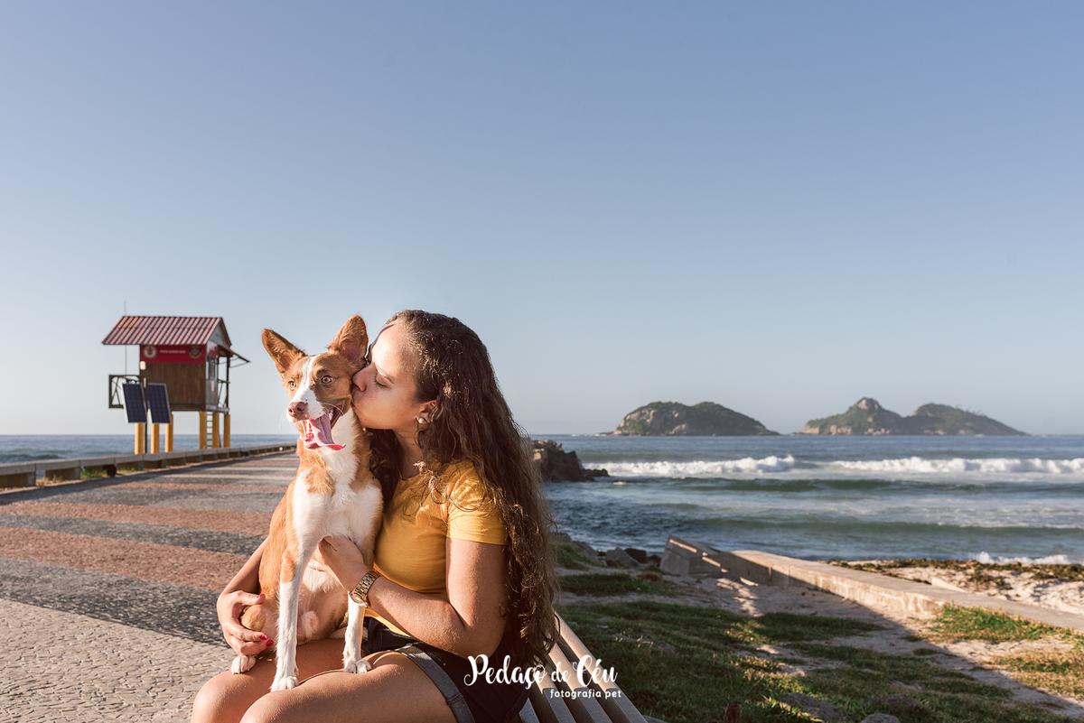 Ensaio pet no Pier da Barra com o Tico e sua tutora